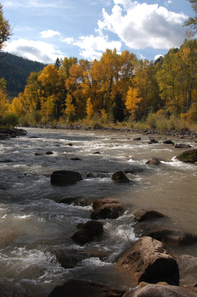 fishing in a river